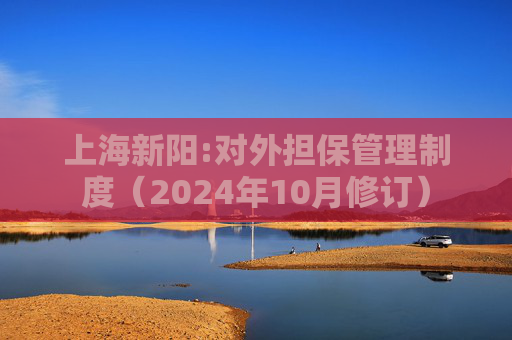 上海新阳:对外担保管理制度（2024年10月修订）