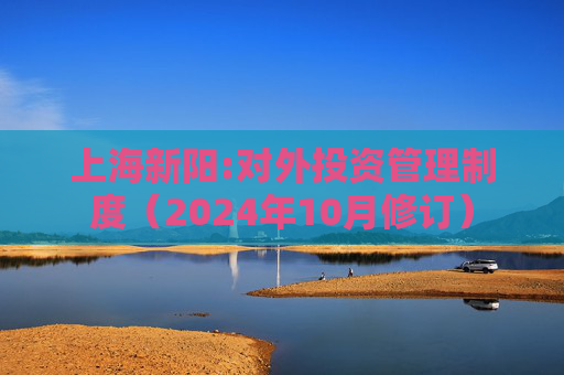 上海新阳:对外投资管理制度（2024年10月修订）