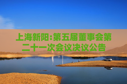 上海新阳:第五届董事会第二十一次会议决议公告