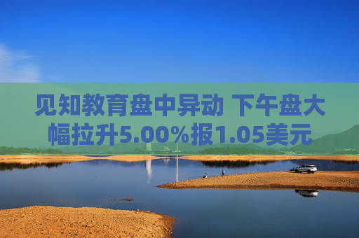 见知教育盘中异动 下午盘大幅拉升5.00%报1.05美元