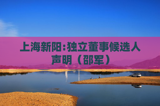 上海新阳:独立董事候选人声明（邵军）
