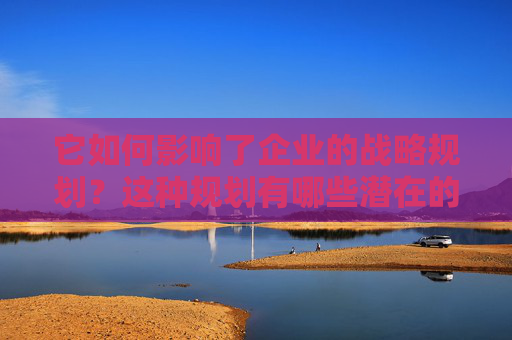 它如何影响了企业的战略规划？这种规划有哪些潜在的风险和机遇？
