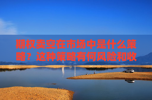 期权卖空在市场中是什么策略？这种策略有何风险和收益？