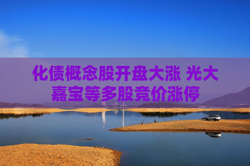 化债概念股开盘大涨 光大嘉宝等多股竞价涨停