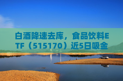 白酒降速去库，食品饮料ETF（515170）近5日吸金近7亿元，机构认为板块回调波动有限