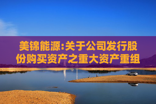 美锦能源:关于公司发行股份购买资产之重大资产重组暨关联交易履行法定程序的完备性、合规性及提交法律文件的有效性的说明