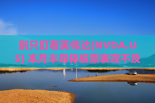 别只盯着英伟达(NVDA.US) 本月半导体股票表现不及标普500指数