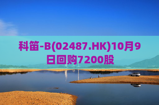 科笛-B(02487.HK)10月9日回购7200股