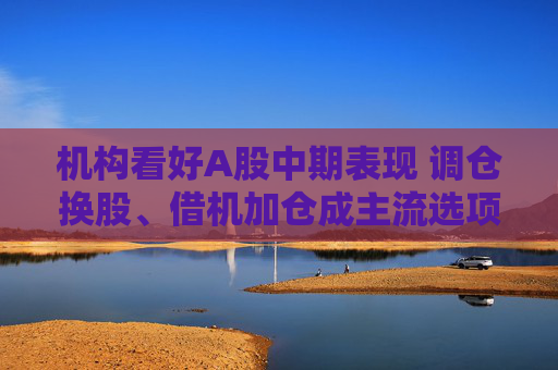 机构看好A股中期表现 调仓换股、借机加仓成主流选项