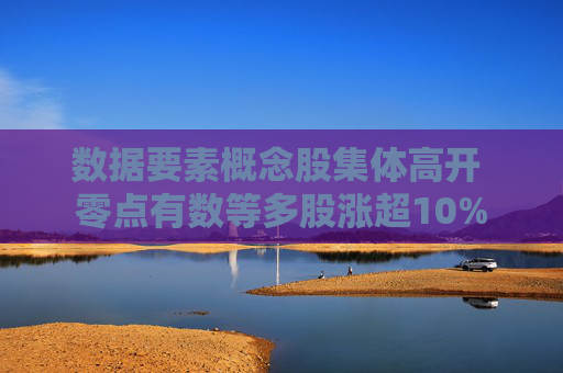 数据要素概念股集体高开 零点有数等多股涨超10%