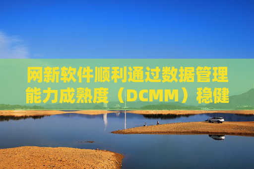 网新软件顺利通过数据管理能力成熟度（DCMM）稳健级认证