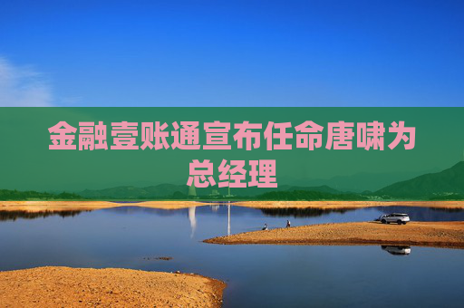 金融壹账通宣布任命唐啸为总经理