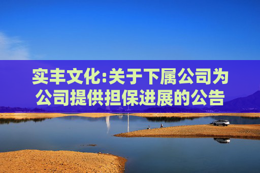实丰文化:关于下属公司为公司提供担保进展的公告