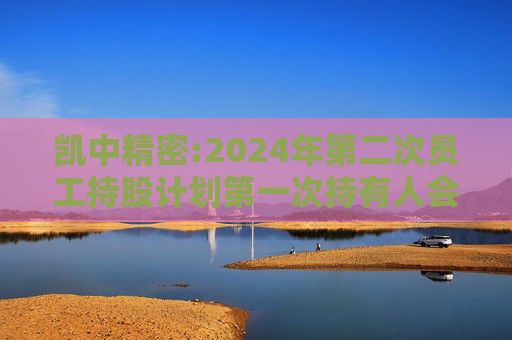 凯中精密:2024年第二次员工持股计划第一次持有人会议决议公告