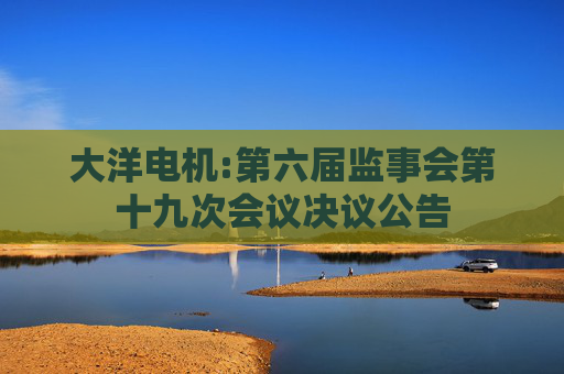 大洋电机:第六届监事会第十九次会议决议公告