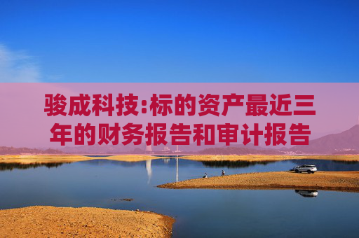 骏成科技:标的资产最近三年的财务报告和审计报告