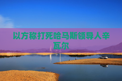 以方称打死哈马斯领导人辛瓦尔