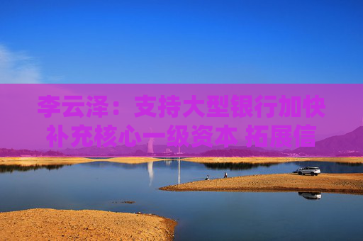 李云泽：支持大型银行加快补充核心一级资本 拓展信贷增长空间（附全文）