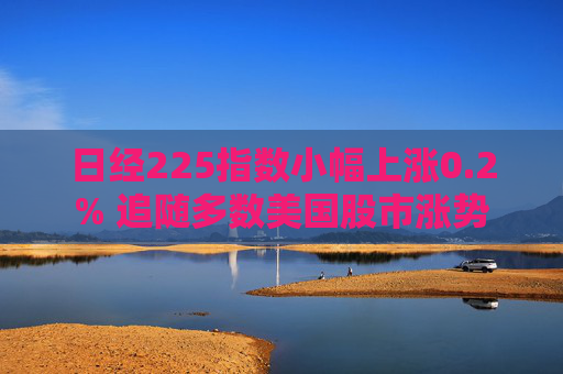 日经225指数小幅上涨0.2% 追随多数美国股市涨势