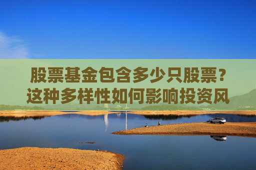股票基金包含多少只股票？这种多样性如何影响投资风险？