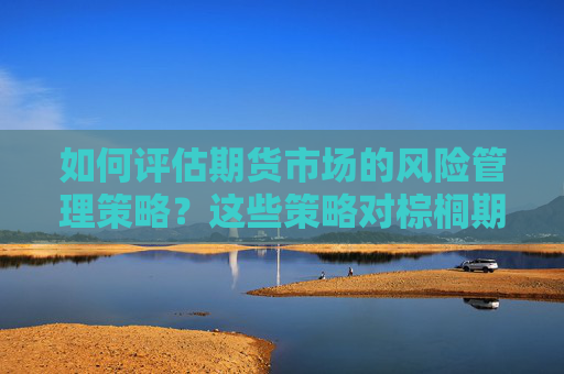 如何评估期货市场的风险管理策略？这些策略对棕榈期货交易有何作用？