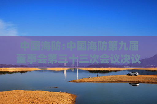 中国海防:中国海防第九届董事会第三十三次会议决议公告