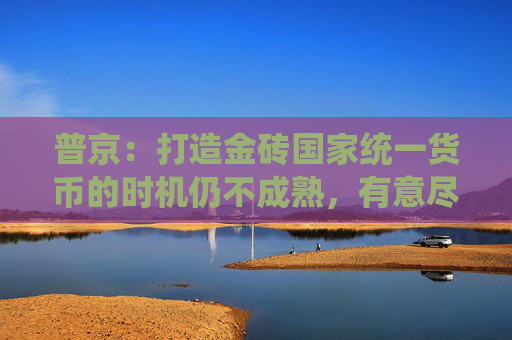 普京：打造金砖国家统一货币的时机仍不成熟，有意尽快结束乌克兰冲突
