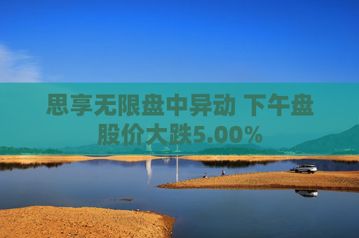 思享无限盘中异动 下午盘股价大跌5.00%