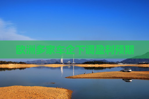 欧洲多家车企下调盈利预期