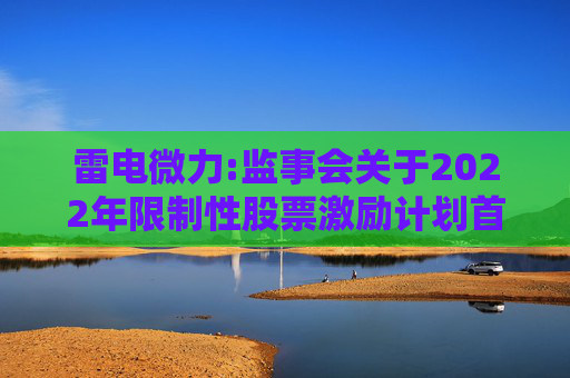 雷电微力:监事会关于2022年限制性股票激励计划首次授予第二期及预留授予第一期拟归属激励对象名单的核查意见