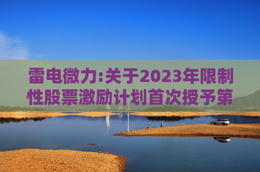 雷电微力:关于2023年限制性股票激励计划首次授予第一期归属条件成就的公告