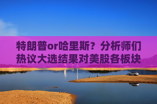 特朗普or哈里斯？分析师们热议大选结果对美股各板块影响
