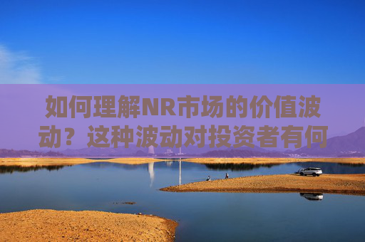如何理解NR市场的价值波动？这种波动对投资者有何影响？