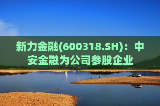 新力金融(600318.SH):中安金融为公司参股企业