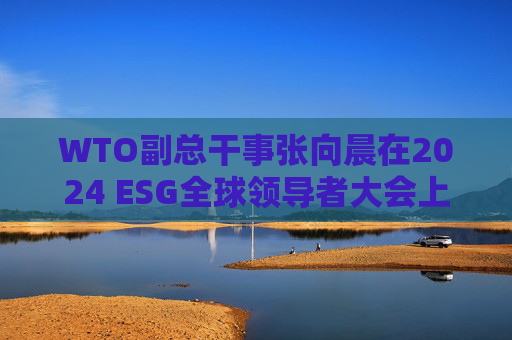 WTO副总干事张向晨在2024 ESG全球领导者大会上的演讲（全文）