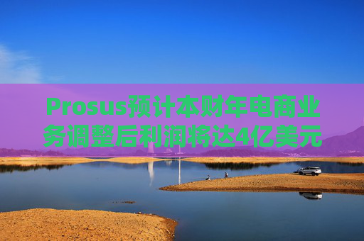 Prosus预计本财年电商业务调整后利润将达4亿美元
