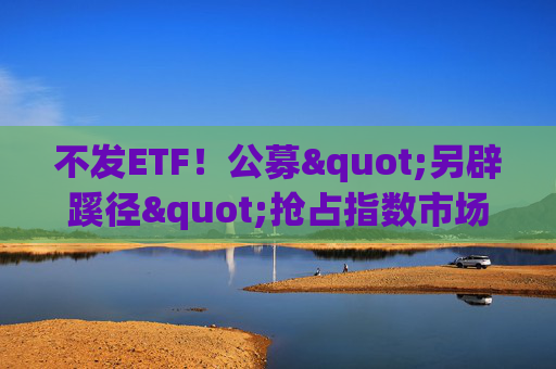 不发ETF！公募"另辟蹊径"抢占指数市场