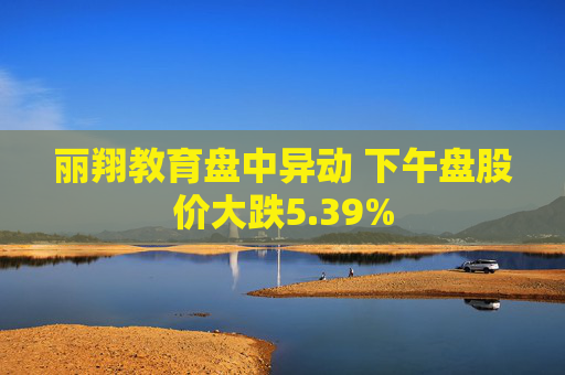 丽翔教育盘中异动 下午盘股价大跌5.39%