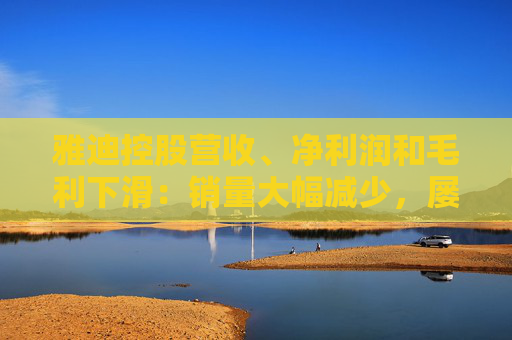 雅迪控股营收、净利润和毛利下滑：销量大幅减少，屡屡抽查不合格