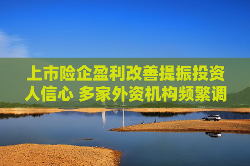 上市险企盈利改善提振投资人信心 多家外资机构频繁调仓内险股，背后酝酿第二波攻势?