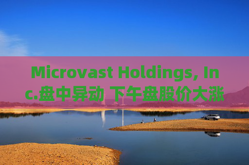 Microvast Holdings, Inc.盘中异动 下午盘股价大涨5.10%报0.222美元