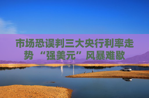 市场恐误判三大央行利率走势 “强美元”风暴难歇