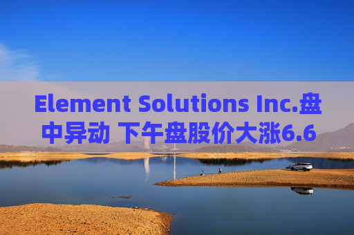 Element Solutions Inc.盘中异动 下午盘股价大涨6.62%报26.27美元