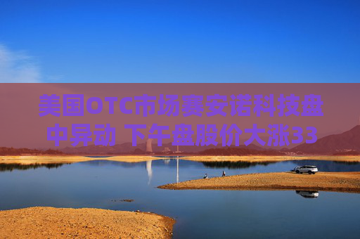 美国OTC市场赛安诺科技盘中异动 下午盘股价大涨33.20%