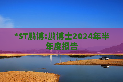 *ST鹏博:鹏博士2024年半年度报告