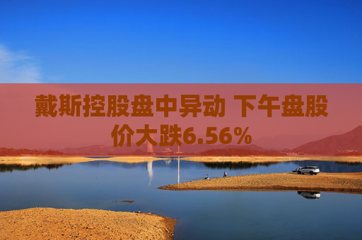 戴斯控股盘中异动 下午盘股价大跌6.56%