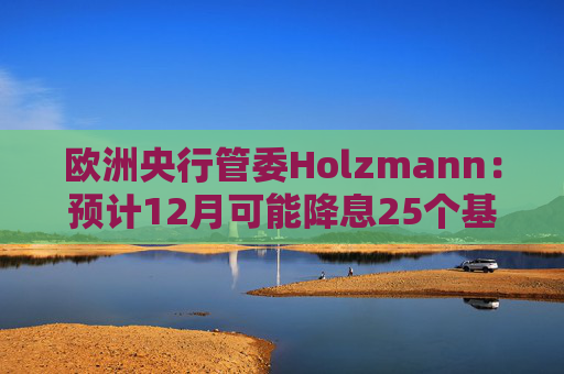欧洲央行管委Holzmann：预计12月可能降息25个基点