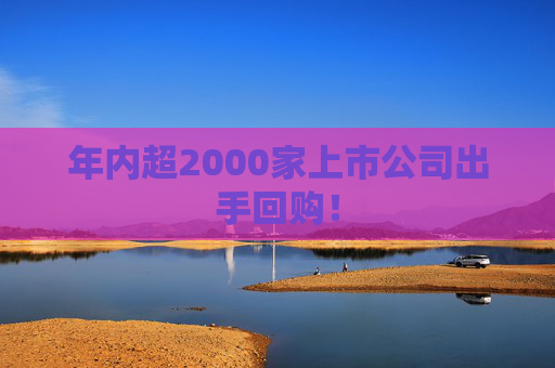 年内超2000家上市公司出手回购！