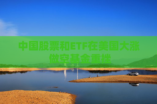 中国股票和ETF在美国大涨 做空基金重挫