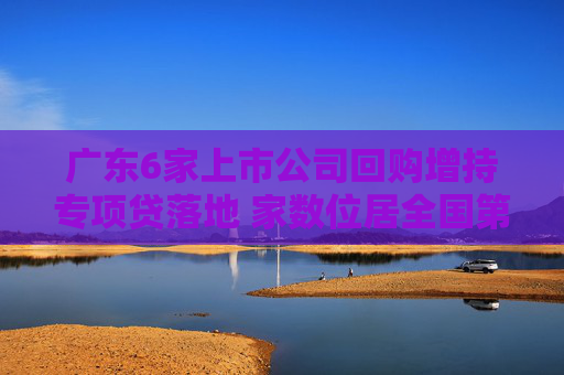 广东6家上市公司回购增持专项贷落地 家数位居全国第一